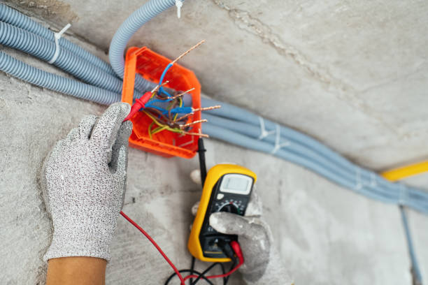 Best Electrical Repair Services  in Warren, MI