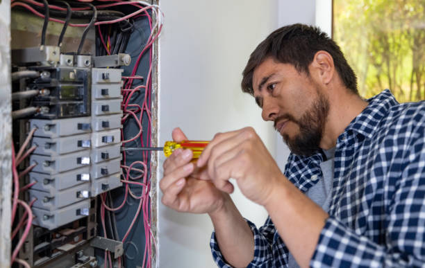 Best Electrician for Home Renovation  in Warren, MI